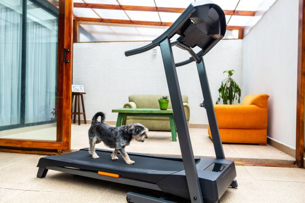 Treadmill Installation in Hendersonville