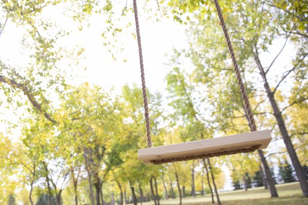Tree Swing Installation in Hendersonville
