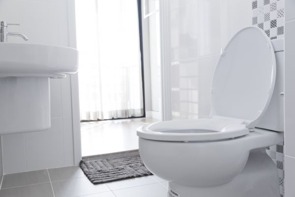 Toilet Seat Installation in Hendersonville