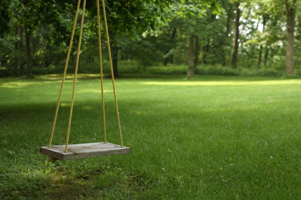Rope Swing Installation in Hendersonville