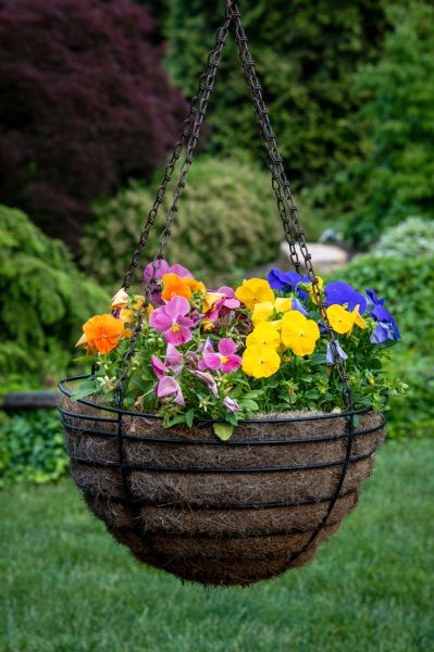 Hanging Basket Installation in Hendersonville