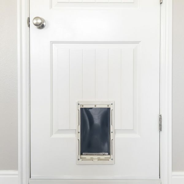 Pet Door Repair in Hendersonville