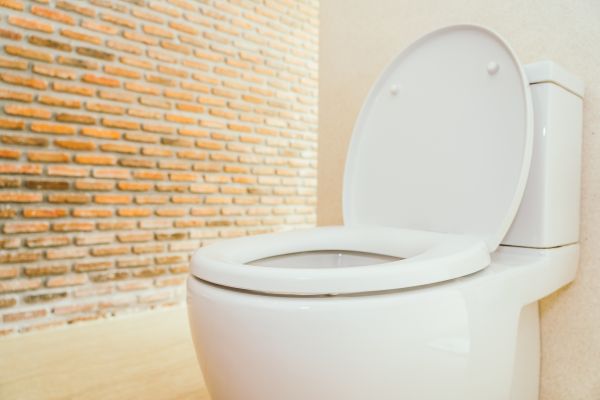 Toilet Seat Repair in Hendersonville